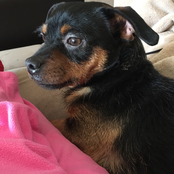 Meet Your Posher, Gloria - Picture 6 of 11